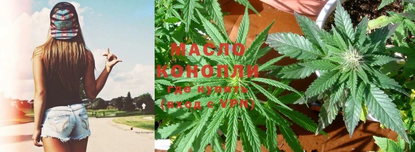 гашиш Богданович