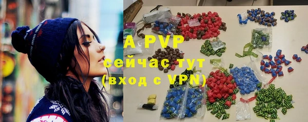 гашиш Богданович