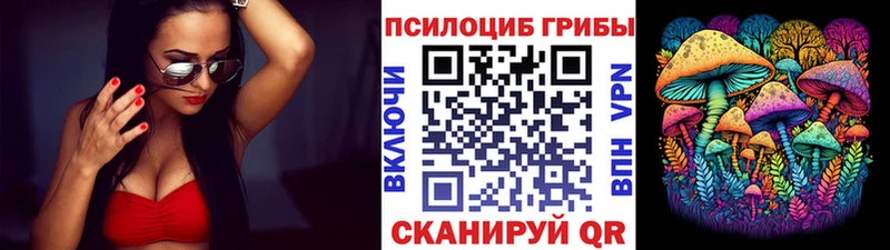 нарко площадка какой сайт  Череповец  Галлюциногенные грибы Psilocybine cubensis 
